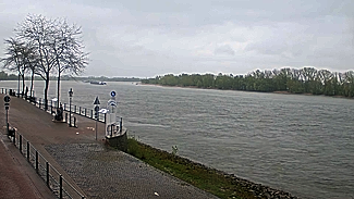 De Rijn bij Stadt Rees